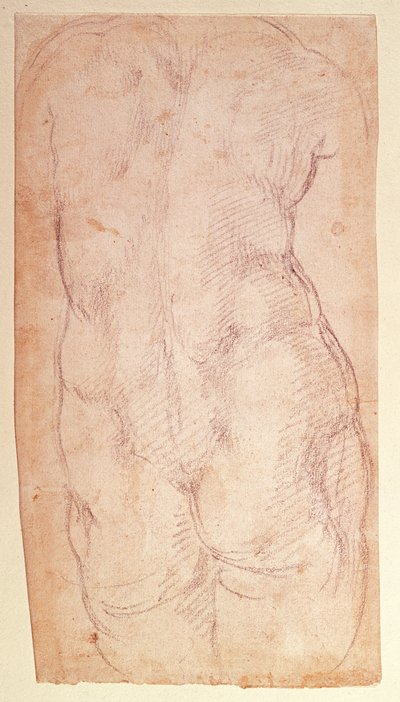 Studie van de rug van een naakt figuur door Michelangelo Buonarroti